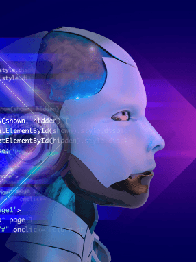Technology Stack